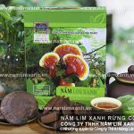 Cách nấu nấm lim xanh khô ra sao liều lượng nấu nấm lim xanh khô