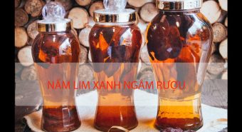 Cách ngâm rượu nấm lim công dụng rượu nấm lim tăng cường sinh lý