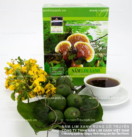 Cách sắc nấm lim xanh phù hợp với bệnh nhân tiểu đường