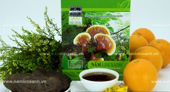 Cách sử dụng nấm lim xanh ngâm rượu với cách ngâm rượu nấm lim