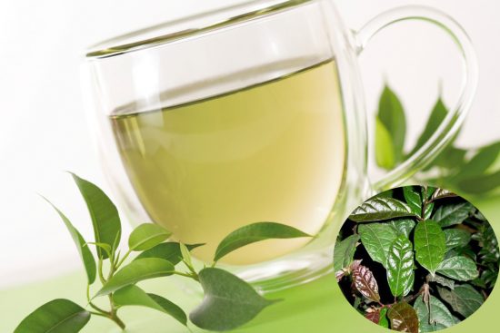 Cây xạ đen sắc nước là cách dùng được nhiều người yêu thích Cây xạ đen sắc nước là cách dùng được nhiều người yêu thích