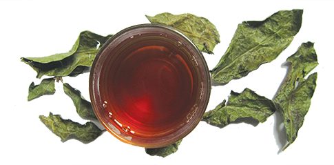 Tác dụng phụ của cây xạ đen - Bà bầu có thể dùng xạ đen không?