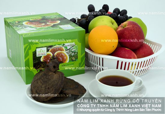 Cơ chế điều trị ung thư của nấm lim xanh