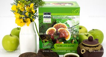 Công dụng nấm liêm xanh trong việc phòng và điều trị bệnh ung thư