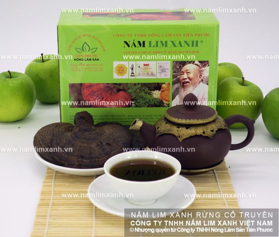 Công dụng nấm lim xanh trị ung thư phổi