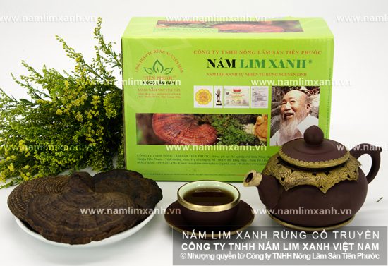 Giá 1kg nấm lim xanh tự nhiên Tiên Phước loại Nguyên cây