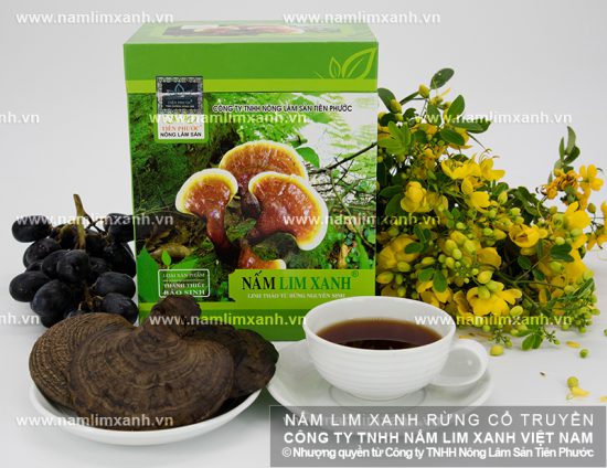Giá bán nấm lim xanh loại Thanh Thiết Bảo Sinh Giá bán nấm lim xanh loại Thanh Thiết Bảo Sinh