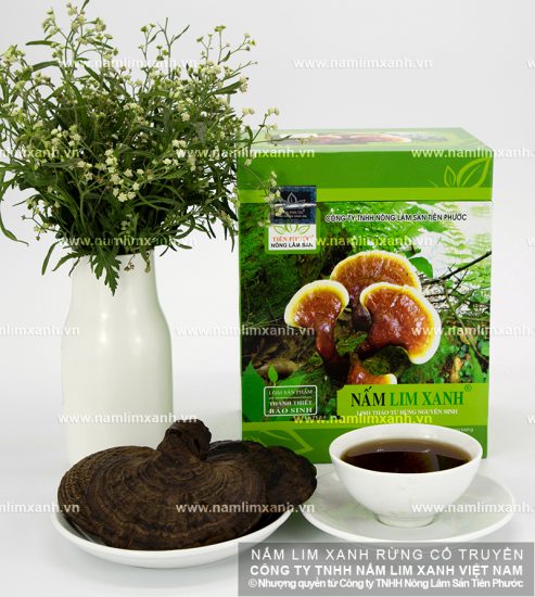 Giá nấm lim xanh tự nhiên gia truyền Thanh Thiết Bảo Sinh