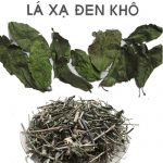 Lá xạ đen khô có công dụng gì? Địa chỉ mua bán xạ đen khô toàn quốc