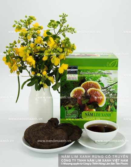 Hướng dẫn ngâm rượu nấm lim xanh