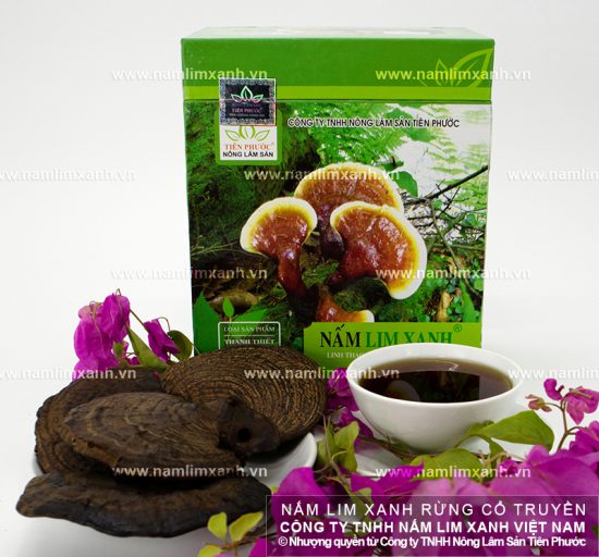 Hướng dẫn sử dụng nấm lim rừng tự nhiên Tiên Phước Hướng dẫn sử dụng nấm lim rừng tự nhiên Tiên Phước