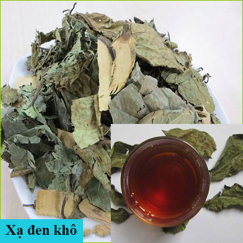 Bài thuốc chữa bệnh từ xạ đen khô. Bài thuốc chữa bệnh từ xạ đen khô.