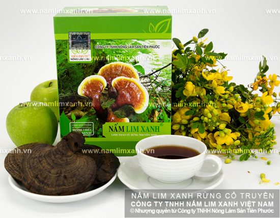 Liều lượng dùng nấm lim xanh và liều sử dụng nấm gỗ lim xanh