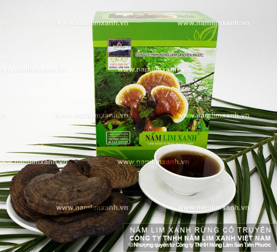 Một số tác dụng nấm lim xanh ngâm rượu khác đối với sức khỏe
