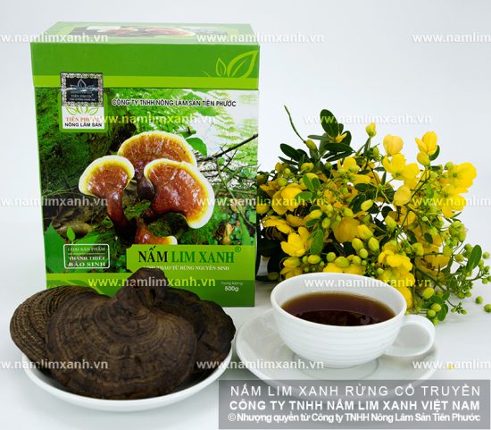 Mua nấm lim xanh rừng tự nhiên ở đâu tốt