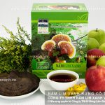 Nấm chữa ung thư có các nghiên cứu nào và cách uống nấm lim rừng