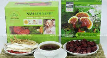 Nấm lim ngâm rượu có tốt không cách dùng nấm lim xanh ngâm rượu