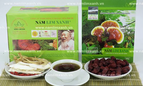 Nấm lim ngâm rượu có tốt không cách dùng nấm lim xanh ngâm rượu