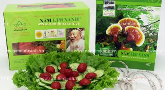 Nấm lim xanh chữa bệnh gan sự thật nấm lim xanh có tác dụng gì?