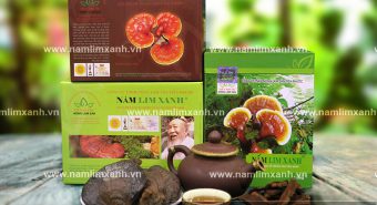 Nấm lim xanh giá bao nhiêu 1kg cách chọn mua nấm lim xanh rừng
