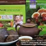 Nấm lim xanh giá bao nhiêu tiền 1kg với nơi mua nấm lim rừng uy tín