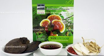 Nấm lim xanh loại nào tốt nhất với cách dùng nấm lim xanh hiệu quả