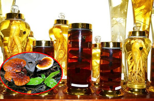 Thời gian ngâm rượu nấm lim xanh tốt nhất trên 3 tháng Thời gian ngâm rượu nấm lim xanh tốt nhất trên 3 tháng