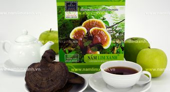 Nấm lim xanh Quảng Ninh bao nhiêu tiền 1kg với địa chỉ bán nấm lim