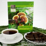 Mua nấm lim xanh ở Hà Nội và cây nấm lim xanh giá bao nhiêu 1kg?