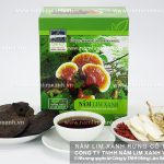 Nấm lim xanh Tiên Phước chính gốc mua ở đâu giá tiền 1kg nấm lim