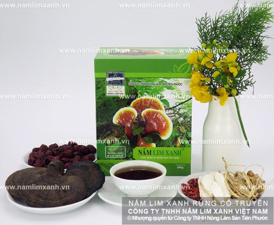 Công dụng của nấm lim xanh trị ung thư gì và tác dụng nấm lim rừng