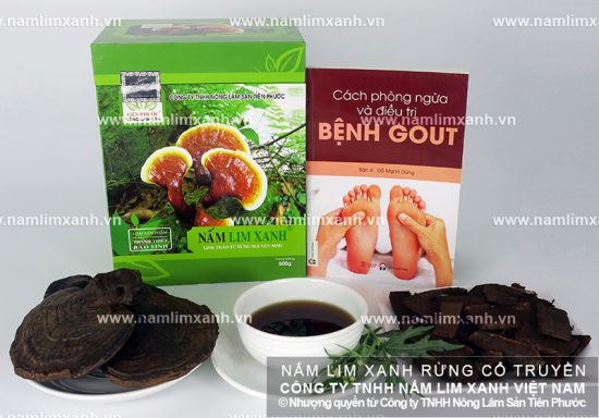 Nấm lim xanh tự nhiên điều trị bệnh gout Nấm lim xanh tự nhiên điều trị bệnh gout