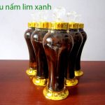 Rượu nấm lim xanh có công dụng gì cách ngâm rượu nấm lim rừng