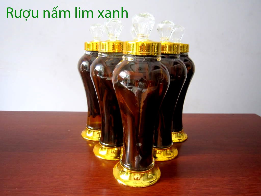 Rượu nấm lim xanh có công dụng tăng cường sinh lý phái mạnh Rượu nấm lim xanh có công dụng tăng cường sinh lý phái mạnh
