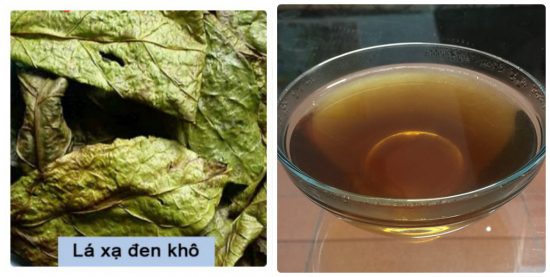 Sử dụng lá xạ đen khô sắc nước uống hằng ngày