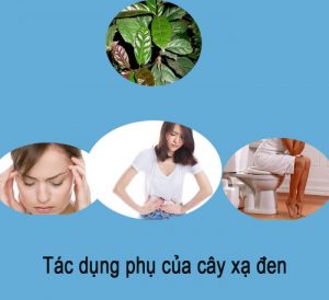 Tác dụng phụ của cây xạ đen Tác dụng phụ của cây xạ đen