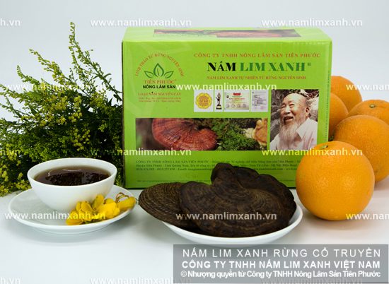 Thành phần dược chất trong nấm lim