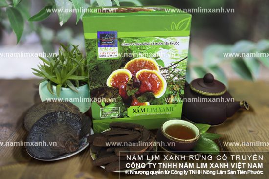 Triệu chứng khi uống nấm lim rừng lần đầu Triệu chứng khi uống nấm lim rừng lần đầu