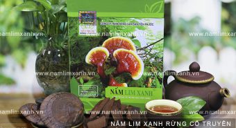 Trà nấm lim xanh chữa bệnh thế nào với cách dùng trà nấm lim xanh