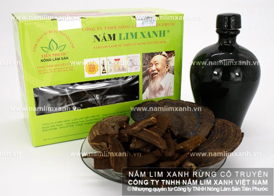 Cách ngâm rượu nấm lim xanh rừng như thế nào
