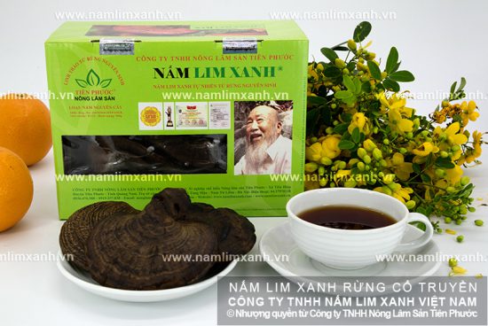 Giá nấm lim xanh của Công ty Tiên Phước loại Nguyên cây