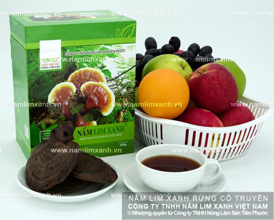 Hướng dẫn sử dụng nấm lim rừng và hướng dẫn dùng nấm lim xanh