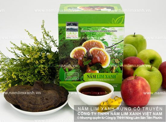 Cách sắc nấm lim rừng và liều lượng nấm lim xanh cho bệnh nhân ung thư phổi