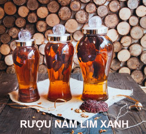 Khi dùng nấm lim xanh ngâm rượu bạn nên chú ý liều lượng và cách sử dụng Khi dùng nấm lim xanh ngâm rượu bạn nên chú ý liều lượng và cách sử dụng