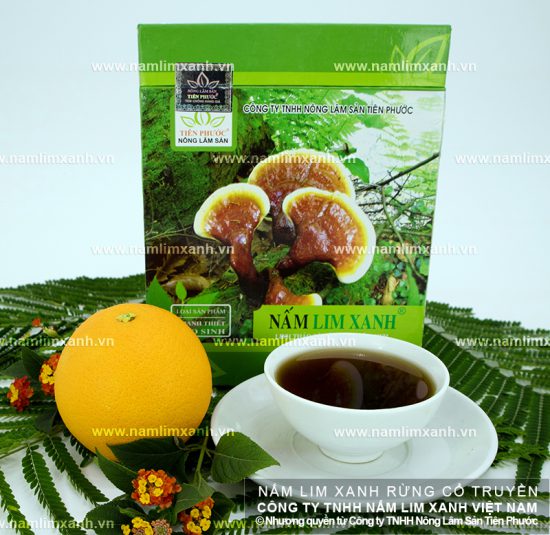 Gợi ý địa chỉ bán nấm lim xanh rừng chính hãng tại TP.HCM