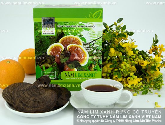 Nấm lim xanh trị ung thư gì?