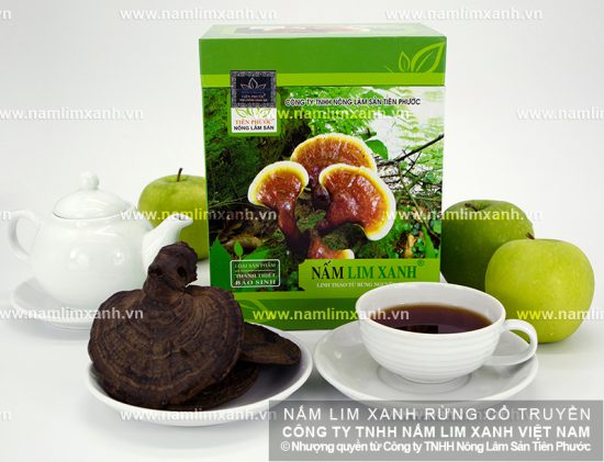Nấm lim xanh trị ung thư nhờ các hoạt chất quý có trong nấm