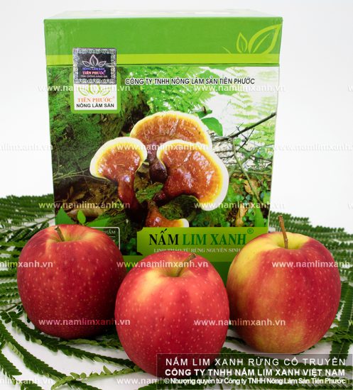 Ngoài tác dụng chữa ung thư, nấm lim xanh còn hỗ trợ điều trị các căn bệnh nan y khác hiệu quả