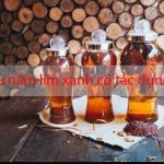 Tác dụng nấm lim xanh ngâm rượu từ cách ngâm uống rượu nấm lim