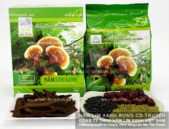 Tác dụng của nấm lim xanh chữa ung thư phổi và công dụng nấm lim rừng